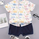 Conjunto de Camisa de Dinosaurios y Short Luxeira